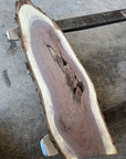 Black Walnut Live-edge slab