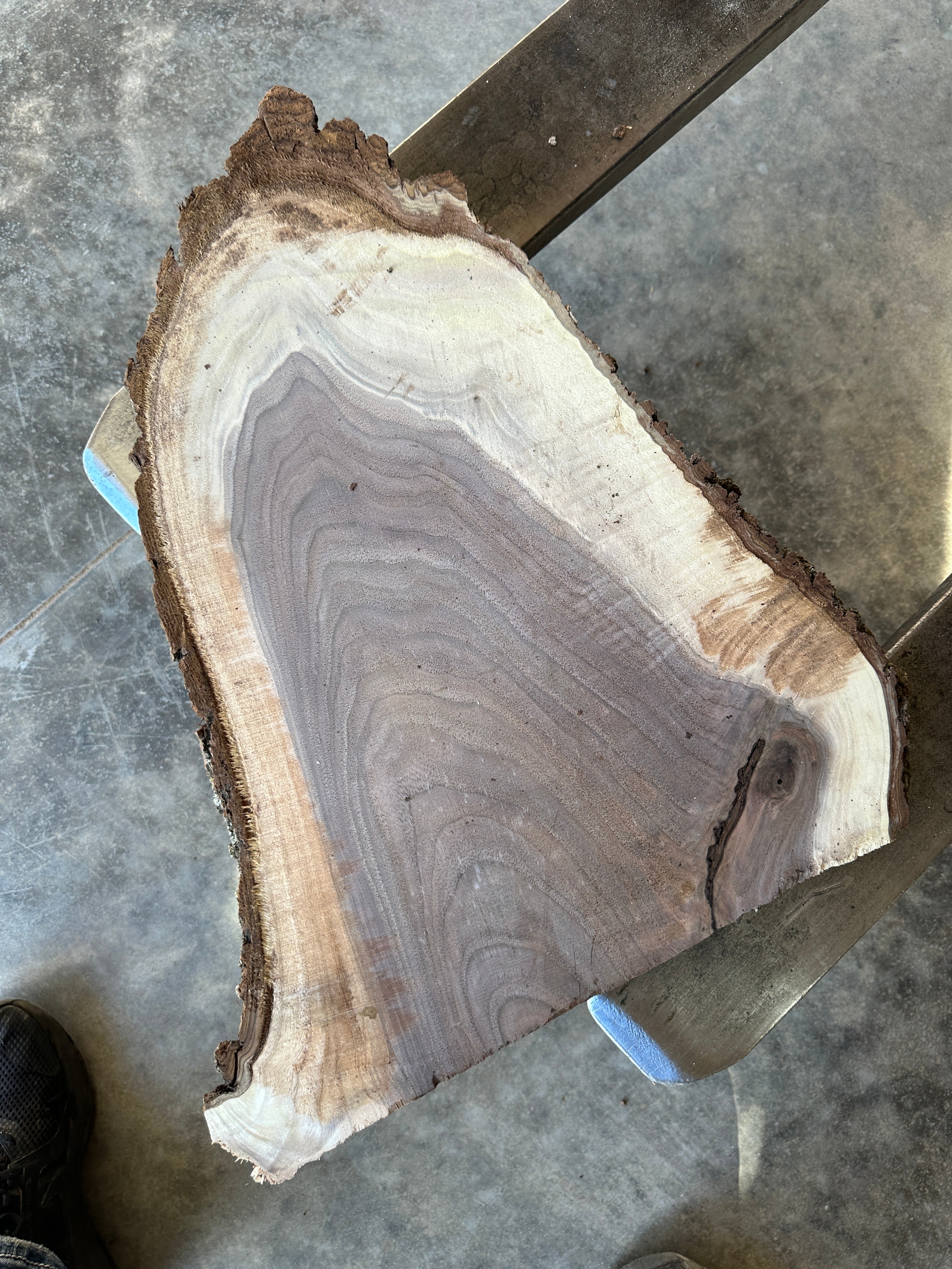 Black Walnut Live-edge Slab