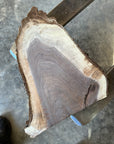 Black Walnut Live-edge Slab