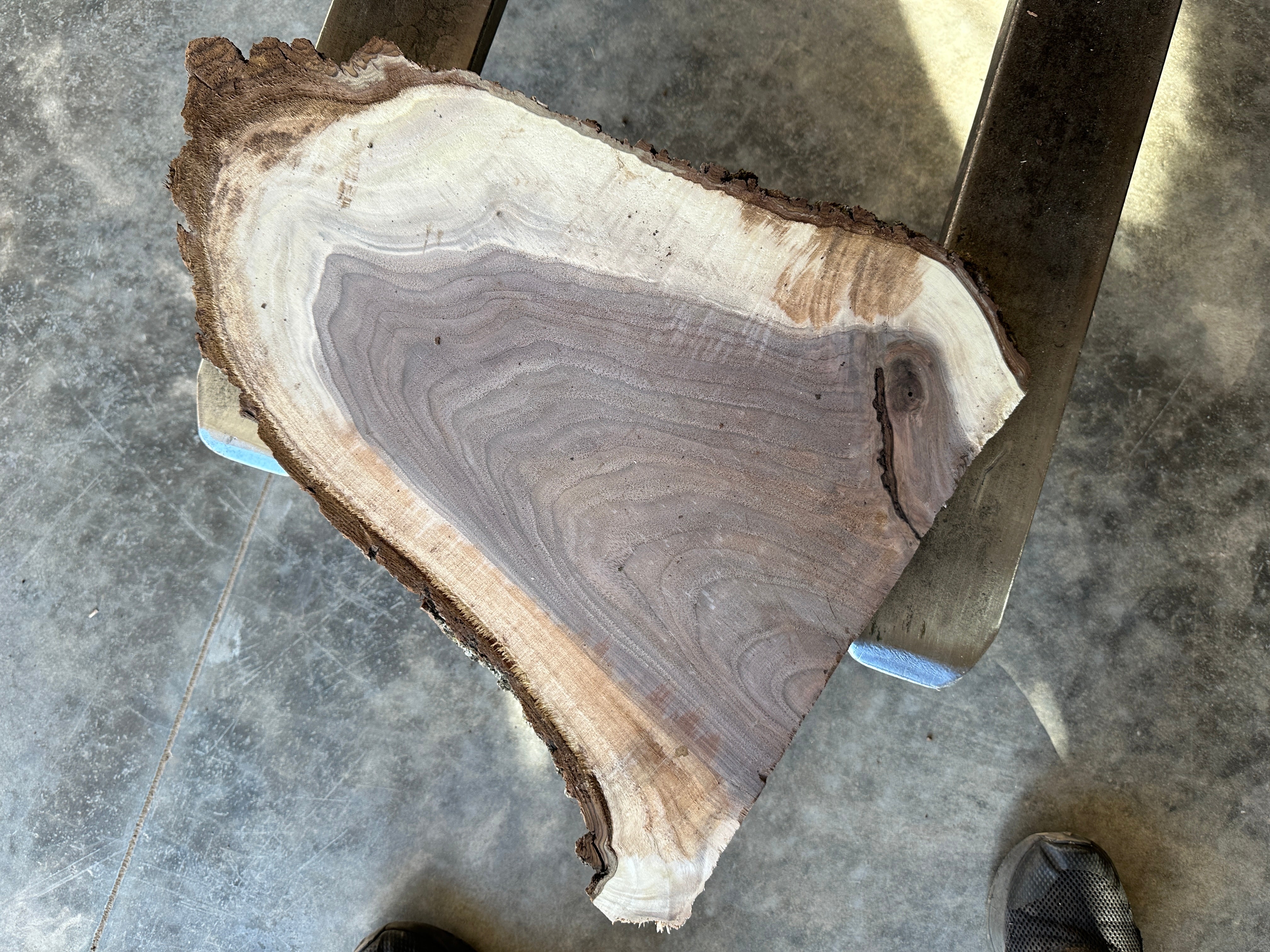Black Walnut Live-edge Slab