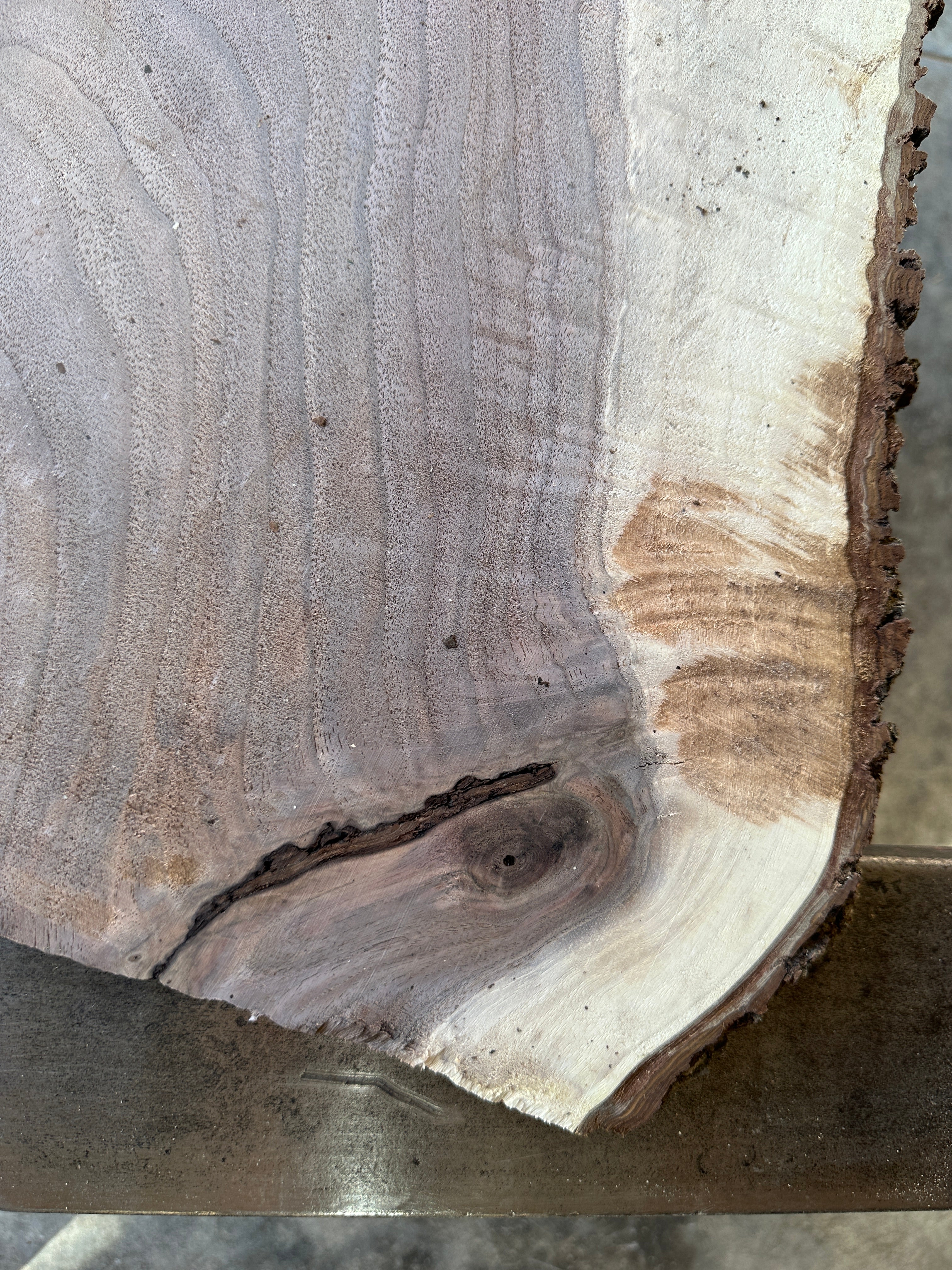Black Walnut Live-edge Slab
