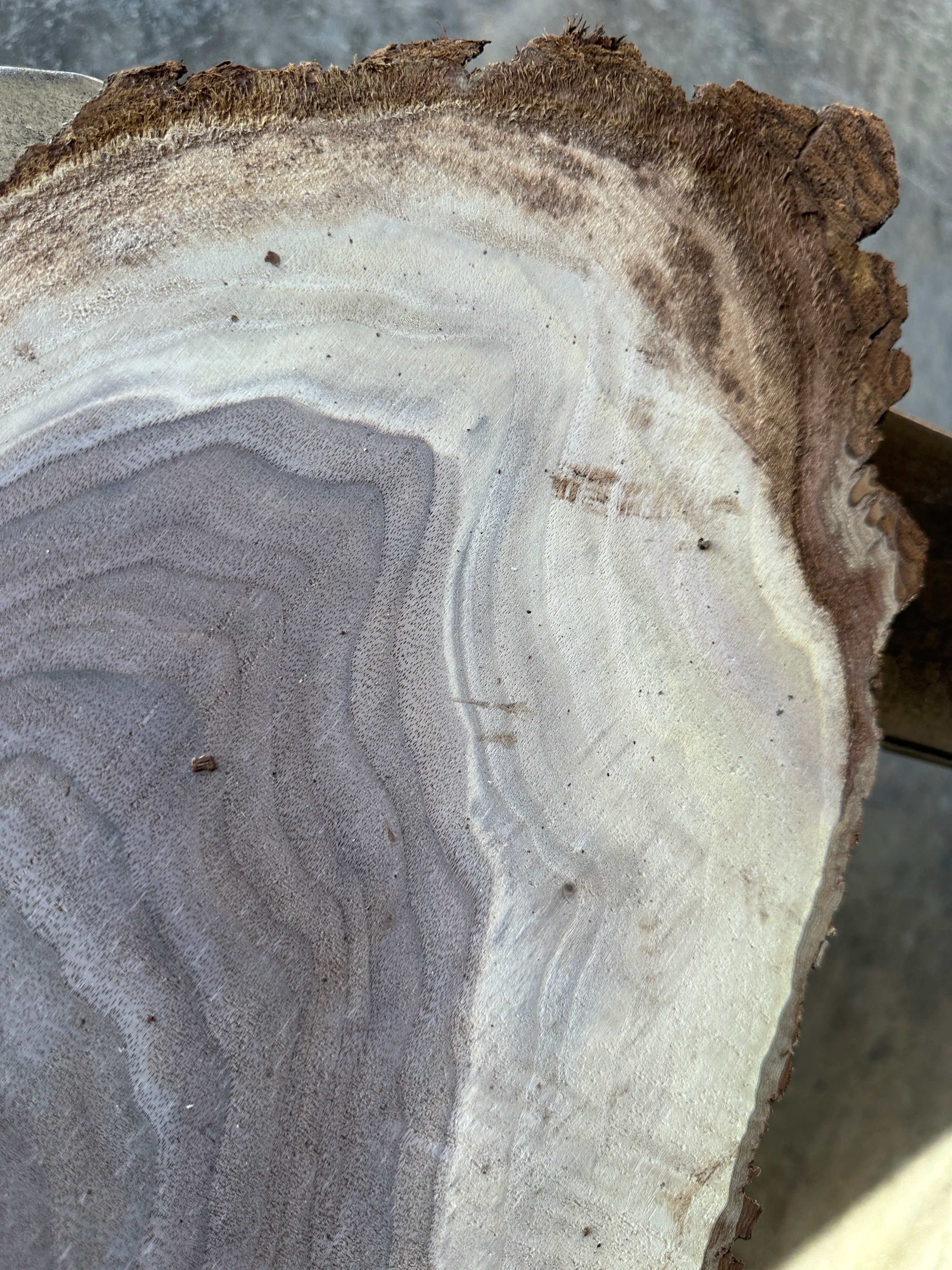 Black Walnut Live-edge Slab