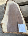 Black Walnut Live-edge slab