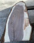 Black Walnut Live-edge slab