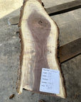 Black Walnut Live-edge slab