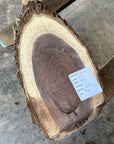 Black Walnut Live-edge slab