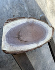 Black Walnut Live-edge slab