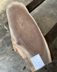 Black Walnut Live-edge slab