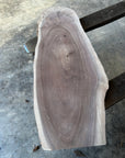 Black Walnut Live-edge slab