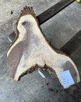 Black Walnut Live-edge slab