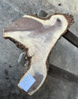 Black Walnut Live-edge slab