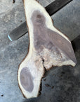 Black Walnut Live-edge slab