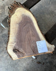 Black Walnut Live-edge slab