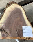 Black Walnut Live-edge slab