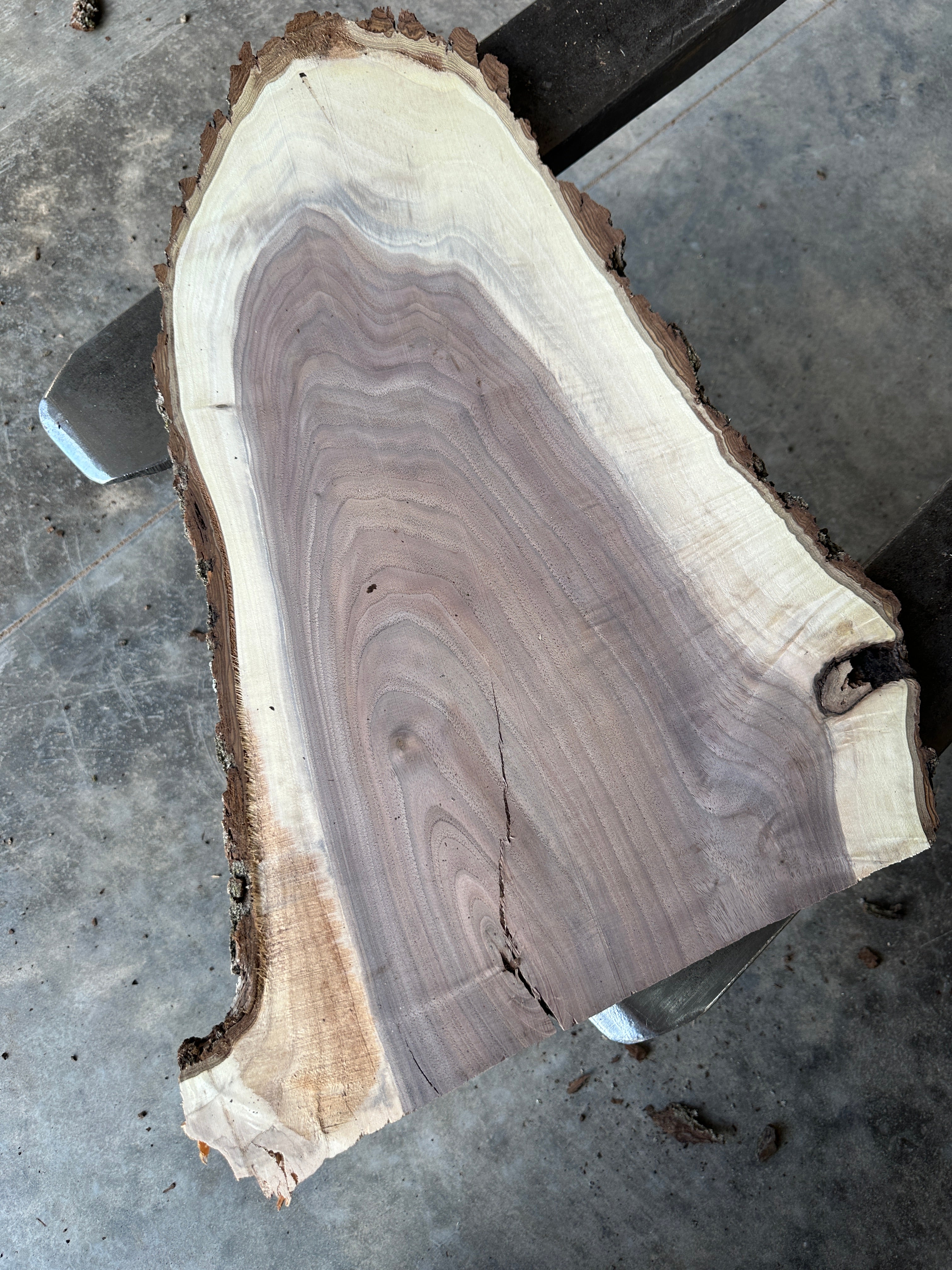 Black Walnut Live-edge slab