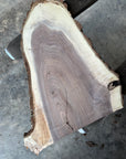 Black Walnut Live-edge slab