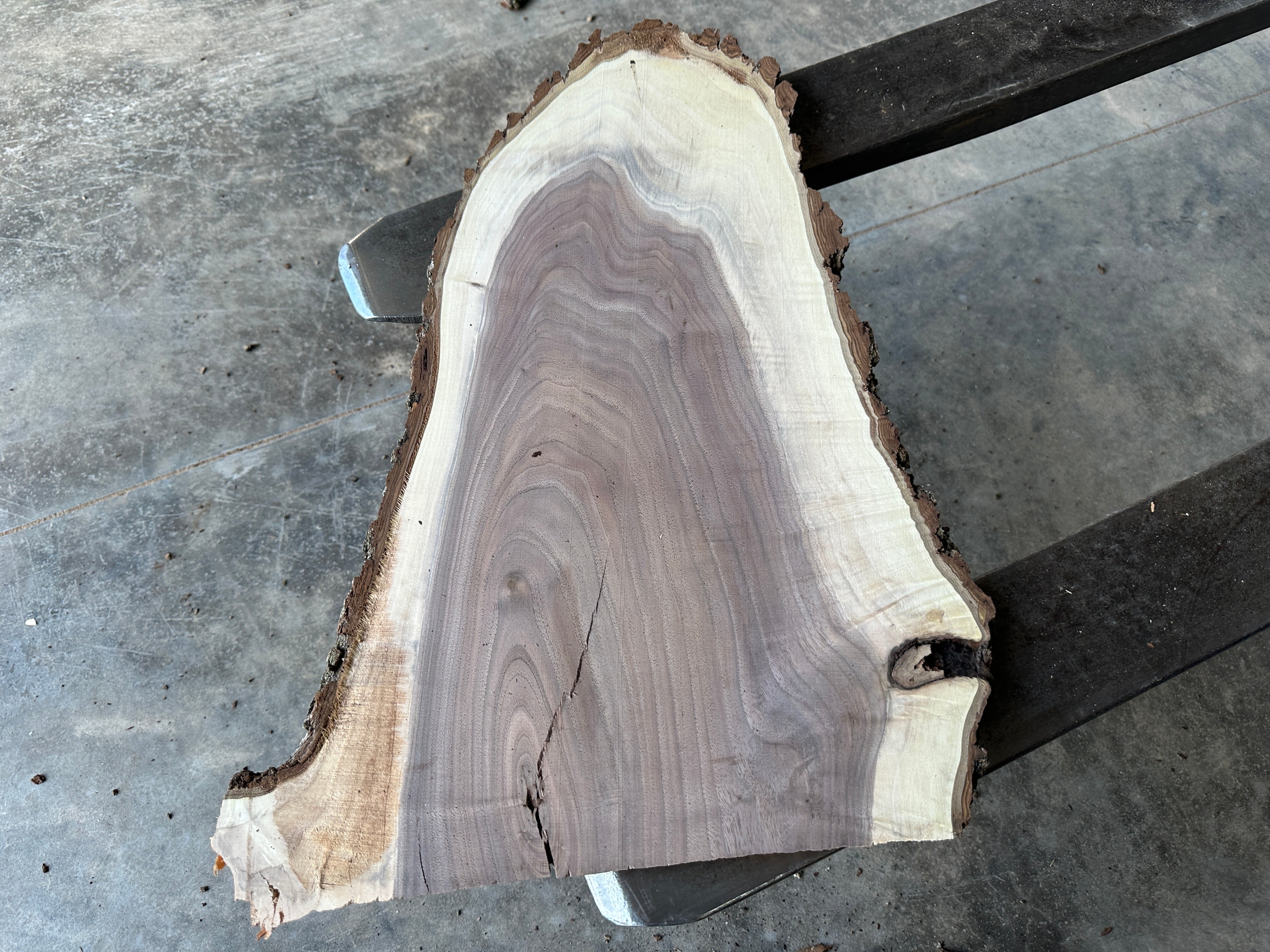 Black Walnut Live-edge slab
