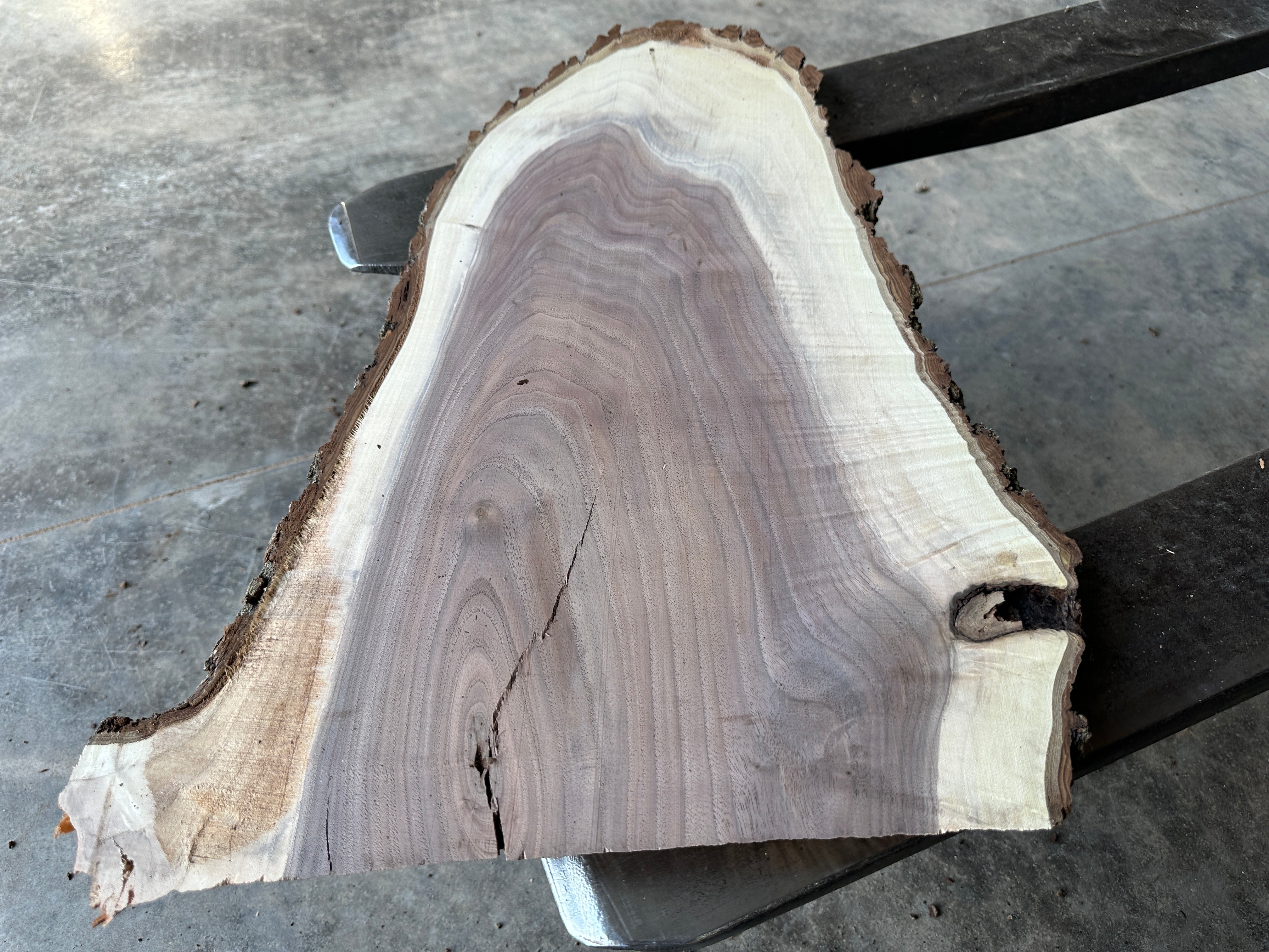 Black Walnut Live-edge slab
