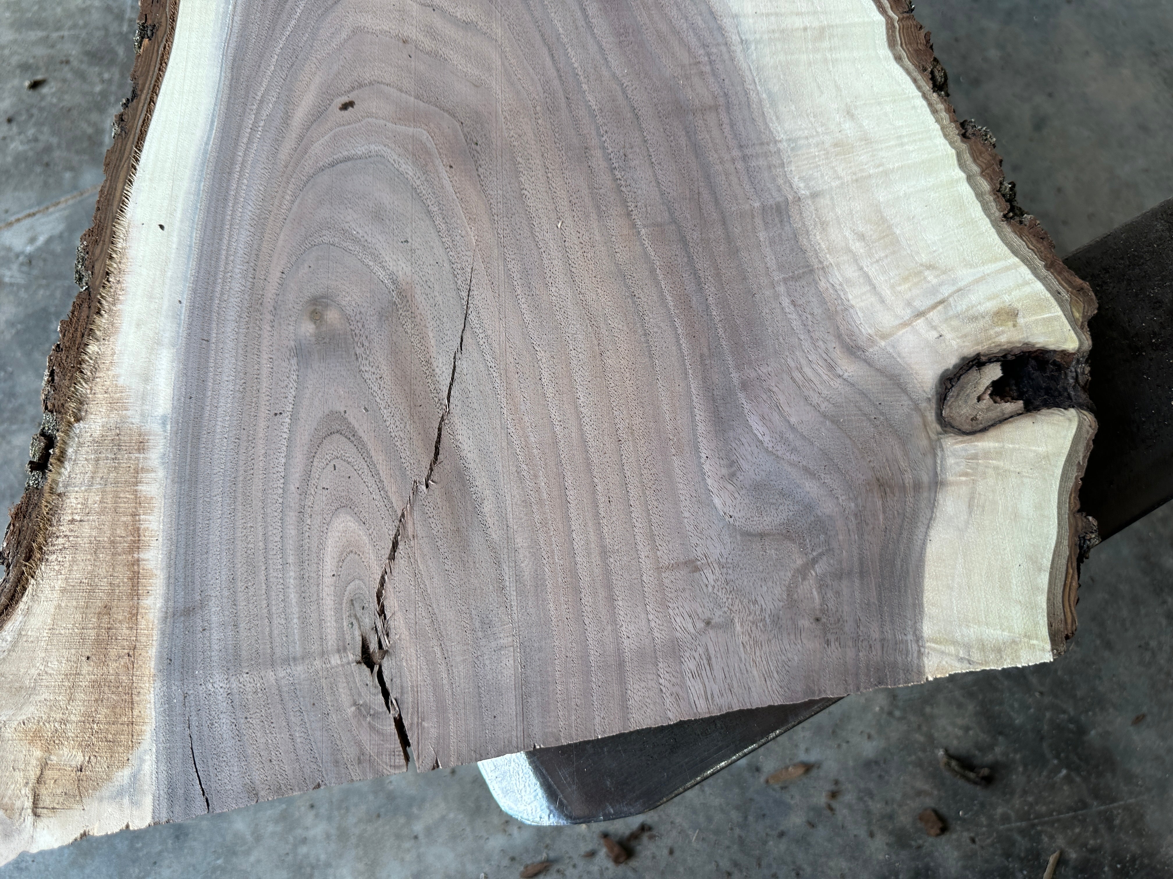 Black Walnut Live-edge slab