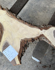 Black Walnut Live-edge slab