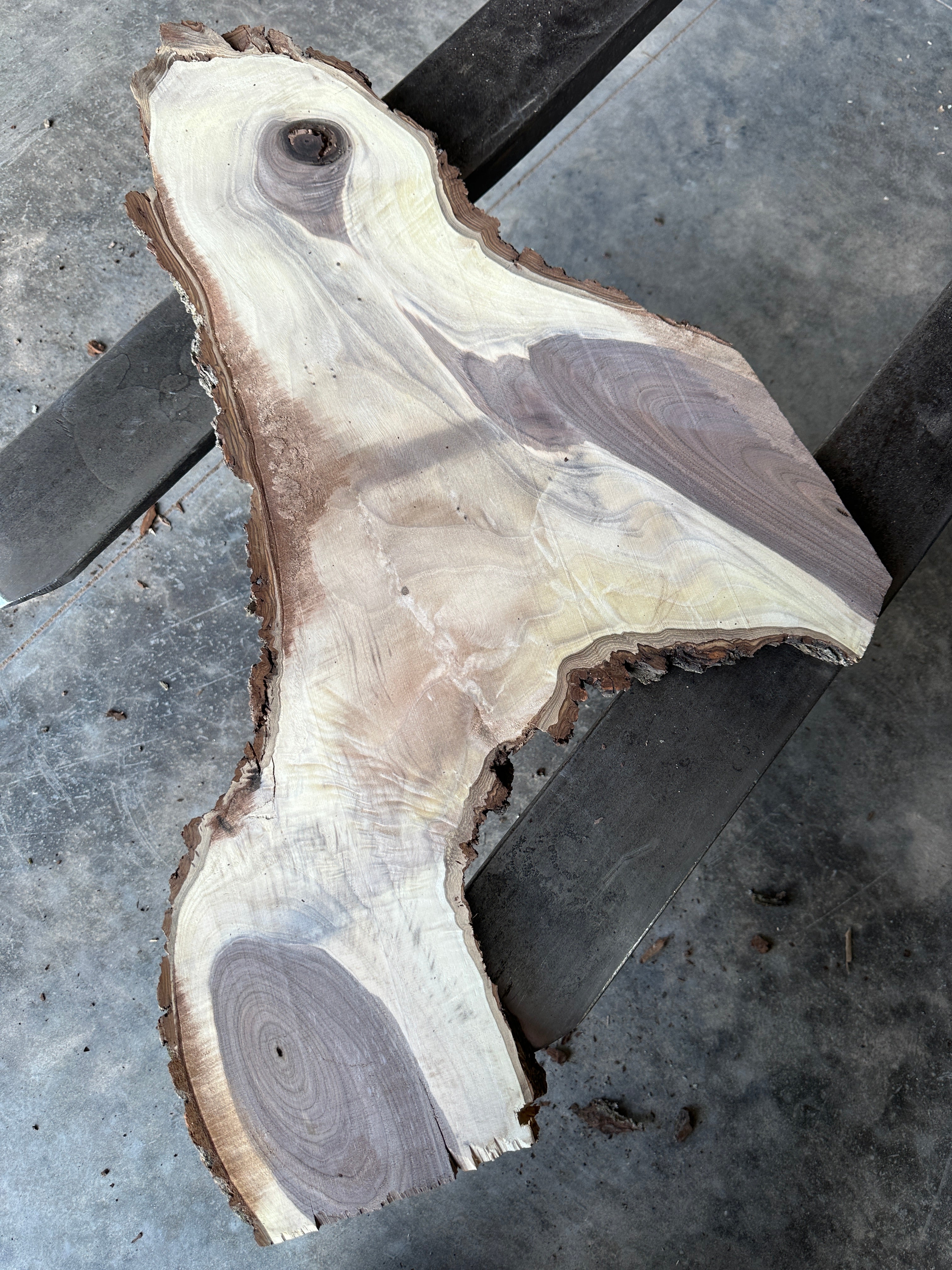 Black Walnut Live-edge slab