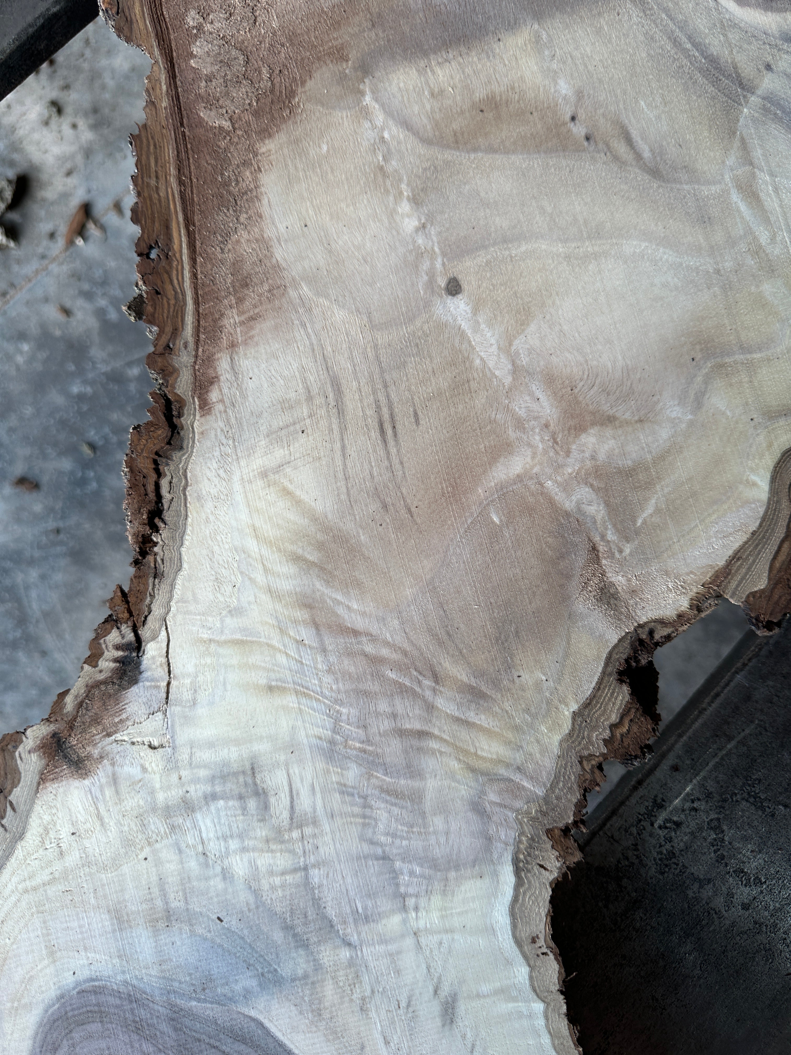Black Walnut Live-edge slab