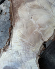 Black Walnut Live-edge slab