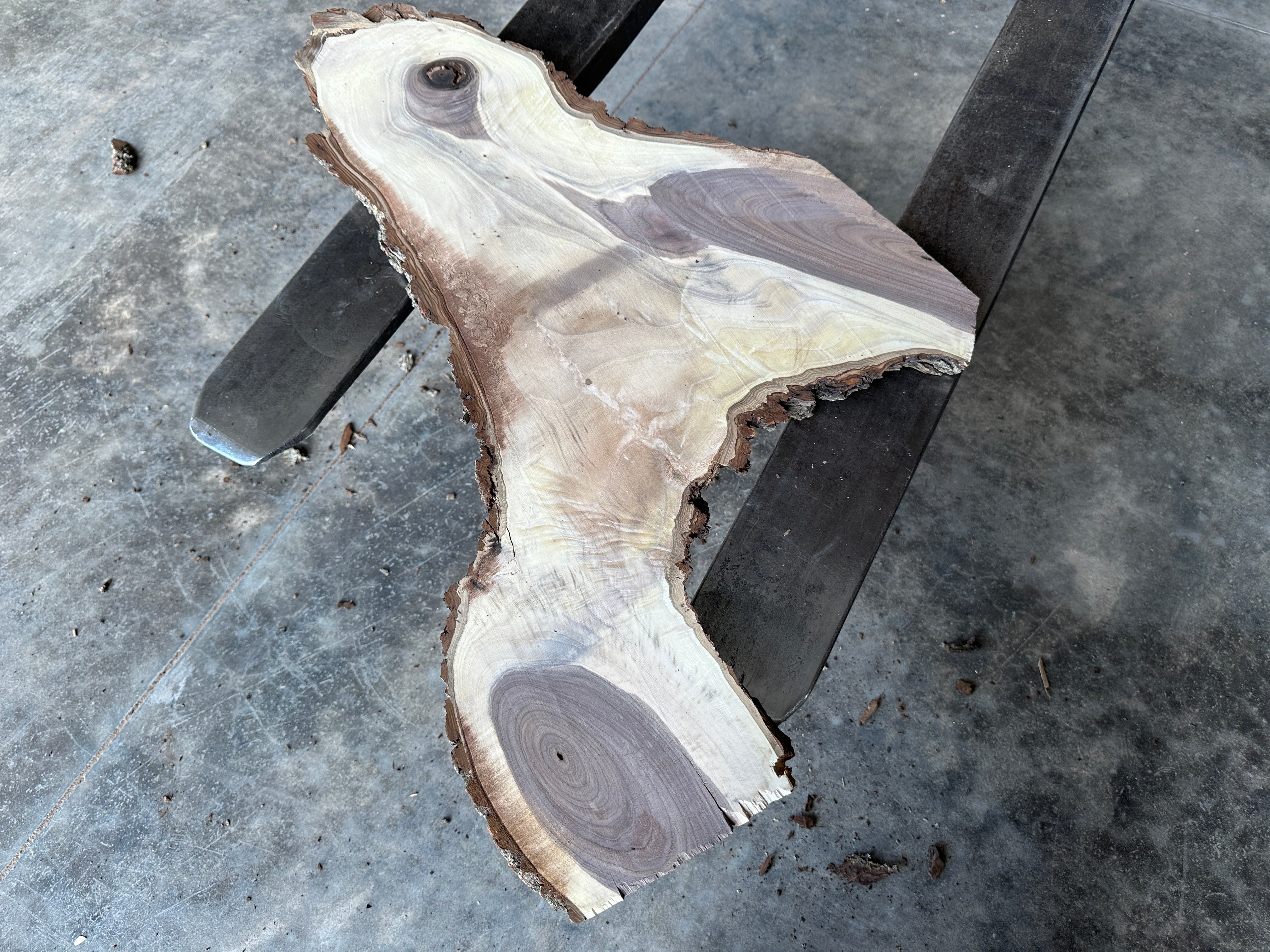 Black Walnut Live-edge slab