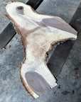 Black Walnut Live-edge slab
