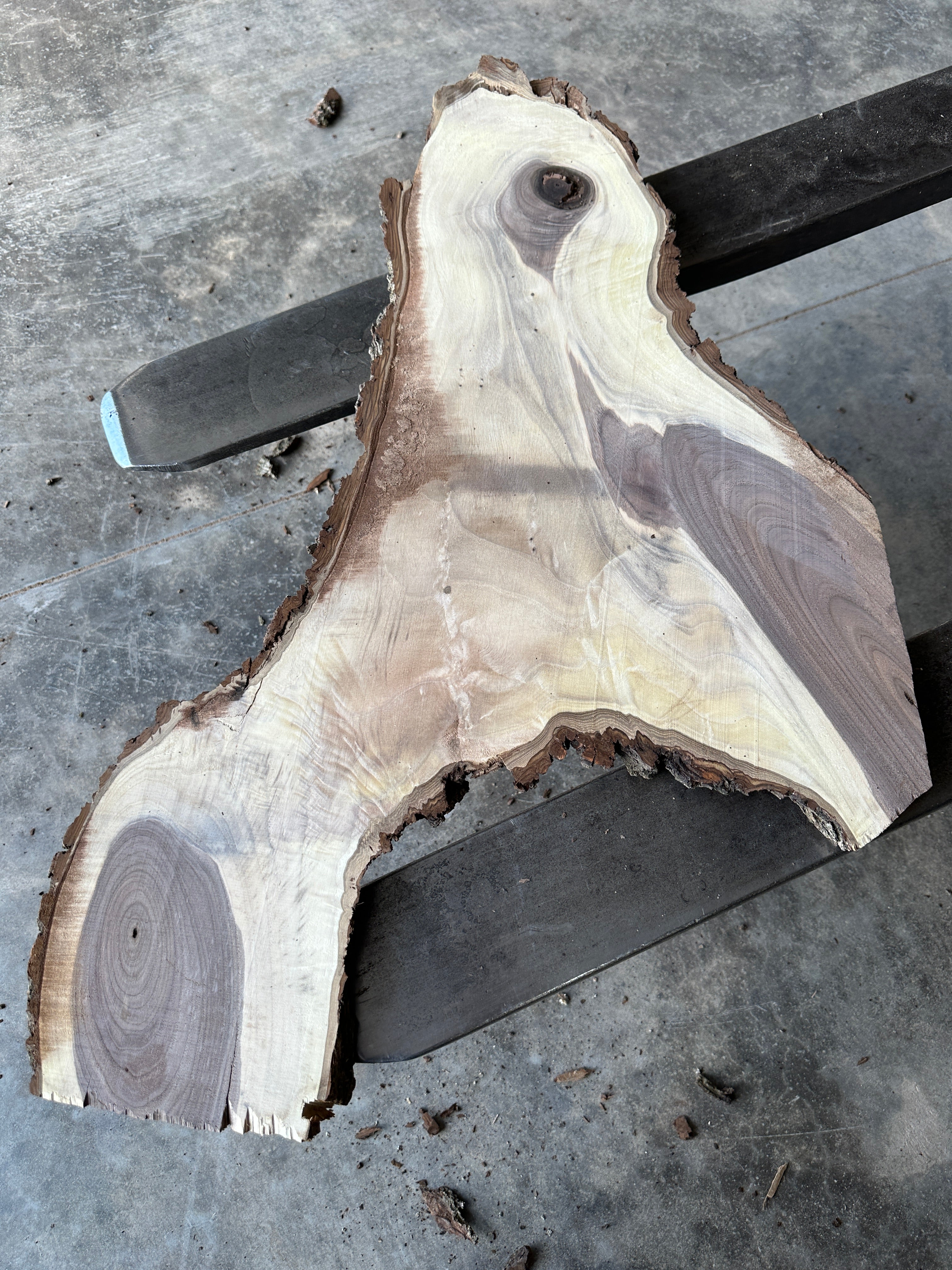 Black Walnut Live-edge slab