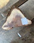 Black Walnut Live-edge slab