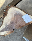 Black Walnut Live-edge slab