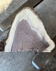 Black Walnut Live-edge slab