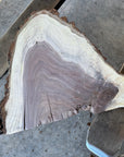 Black Walnut Live-edge slab