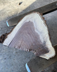 Black Walnut Live-edge slab