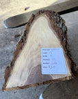 Black Walnut Live-edge slab
