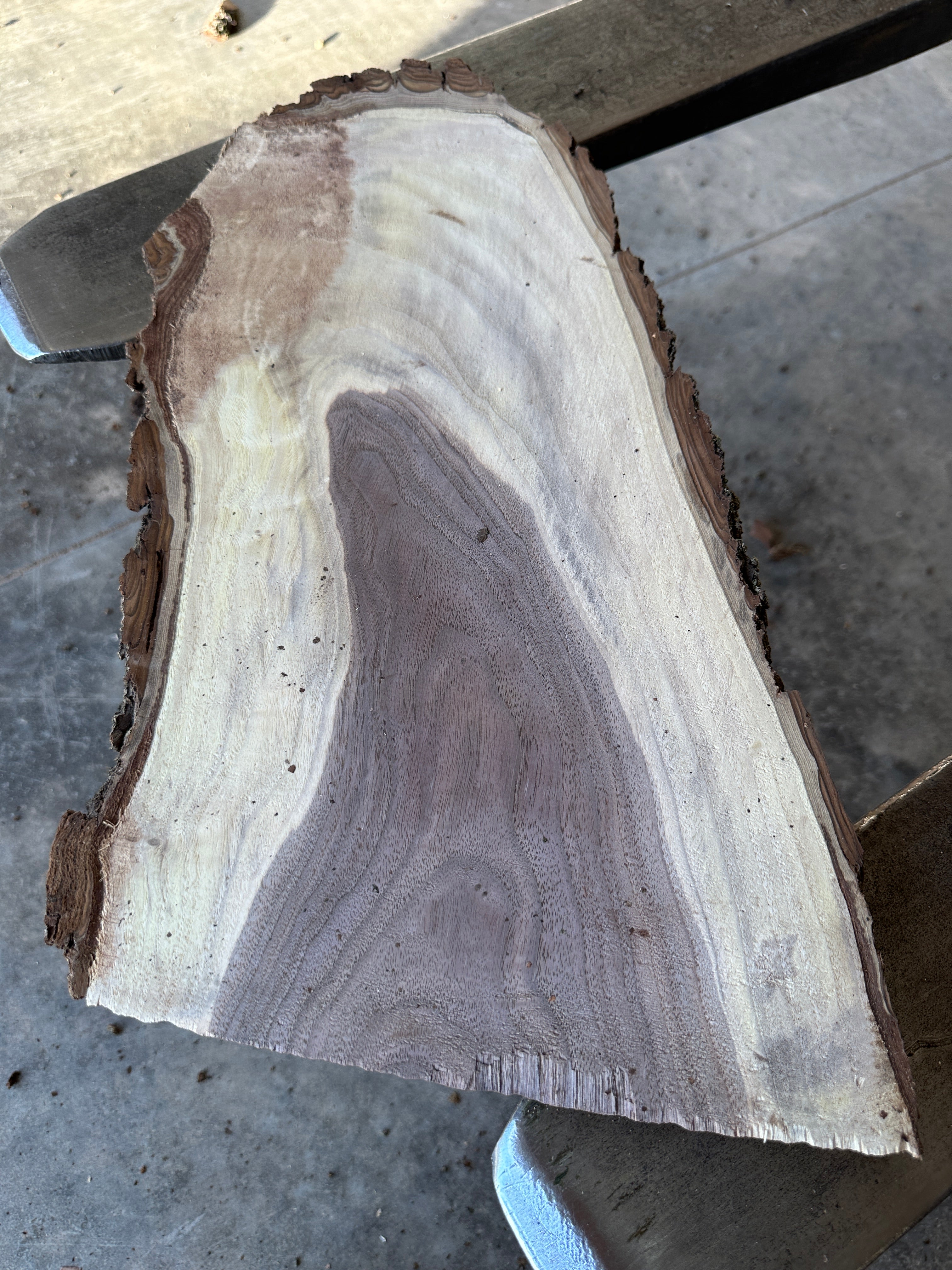 Black Walnut Live-edge slab