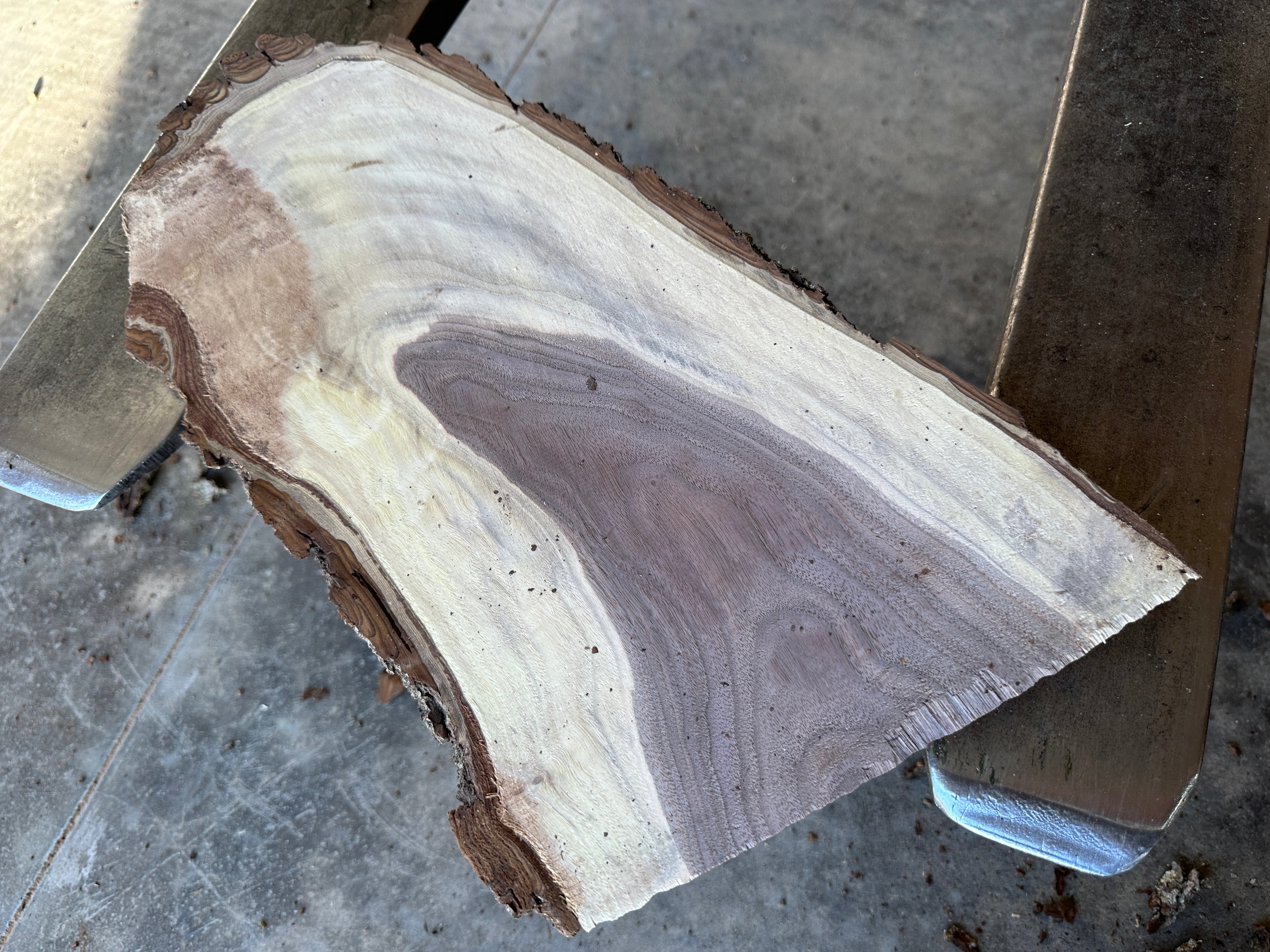 Black Walnut Live-edge slab