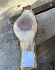 Black Walnut Live-edge slab