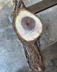 Black Walnut Live-edge slab