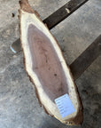 Black Walnut Live-edge