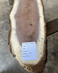 Black Walnut Live-edge
