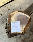 Black Walnut Live-edge slab