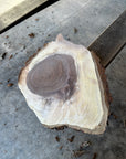 Black Walnut Live-edge slab