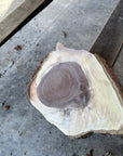 Black Walnut Live-edge slab