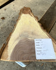Black Walnut Live-edge
