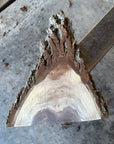 Black Walnut Live-edge