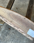 Black Walnut Live-edge slab