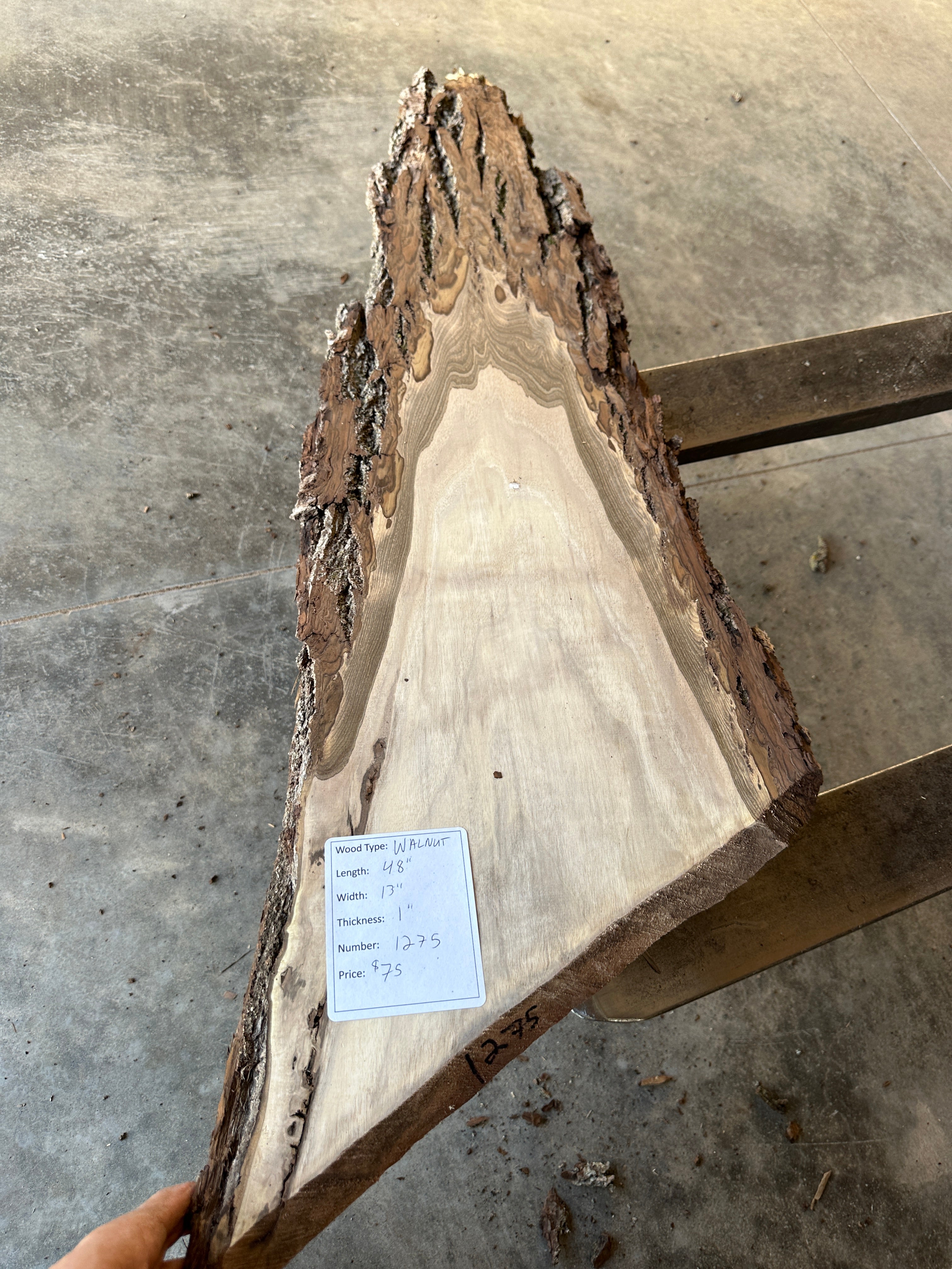 Black Walnut Live-edge slab