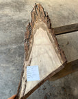 Black Walnut Live-edge slab